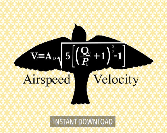 Monty Python Airspeed Velocity Cut Files Svg Dxf Png Etsy