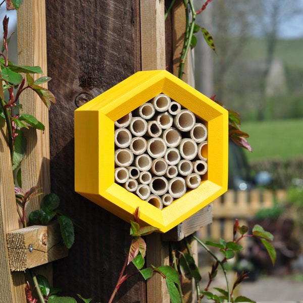 Bee Hotel Honeycomb Solitary Bee House - Bee Hotel - Organic Gift for Gardeners - Gardner Gift - Modern Bee House - Father's Day Gift Garden