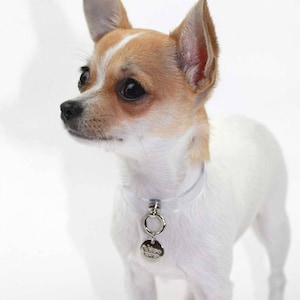 INVISIBLE COLLAR for dogs cats transparent dog - Invisible leash collar dog cat