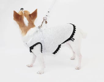 Invisible dog leash near me hotsell