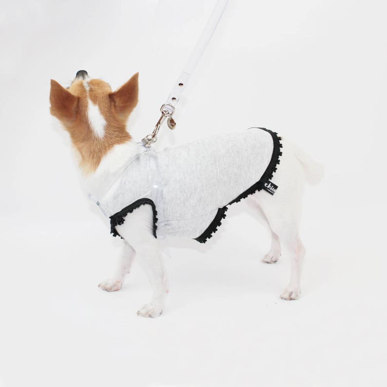 INVISIBLE TRANSPARENT LEASH for Dogs Leash Collar Dog Etsy
