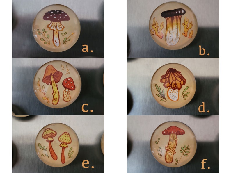 Earthy Mushrooms 1 Handmade Magnets Cute & Cozy Autumnal Round Fungi Magnets image 3