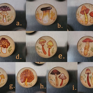 Earthy Mushrooms 1 Handmade Magnets Cute & Cozy Autumnal Round Fungi Magnets image 5