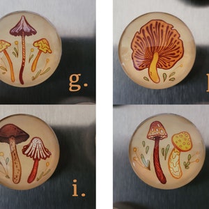 Earthy Mushrooms 1 Handmade Magnets Cute & Cozy Autumnal Round Fungi Magnets image 4
