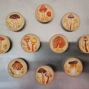 Earthy Mushrooms 1 Handmade Magnets Cute & Cozy Autumnal Round Fungi Magnets image 2