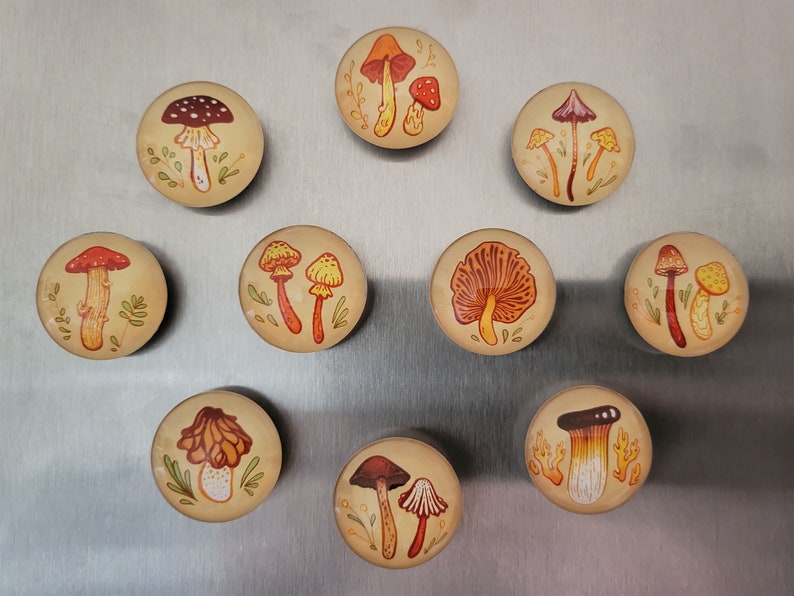 Earthy Mushrooms 1 Handmade Magnets Cute & Cozy Autumnal Round Fungi Magnets image 2