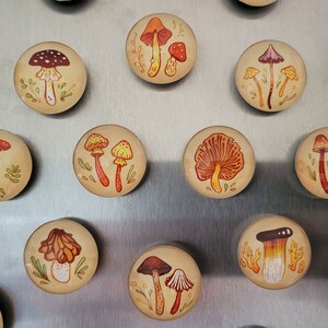 Earthy Mushrooms 1 Handmade Magnets Cute & Cozy Autumnal Round Fungi Magnets image 6