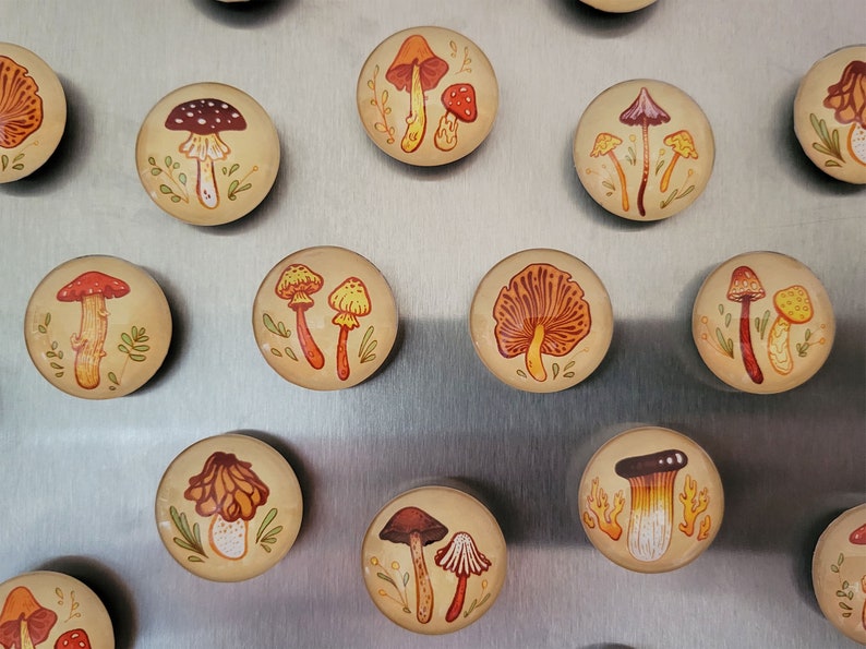 Earthy Mushrooms 1 Handmade Magnets Cute & Cozy Autumnal Round Fungi Magnets image 6
