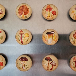 Earthy Mushrooms 1 Handmade Magnets Cute & Cozy Autumnal Round Fungi Magnets image 7