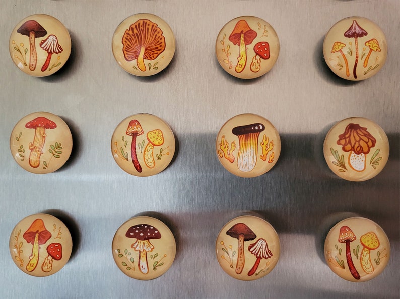 Earthy Mushrooms 1 Handmade Magnets Cute & Cozy Autumnal Round Fungi Magnets image 7