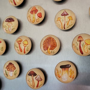 Earthy Mushrooms 1 Handmade Magnets Cute & Cozy Autumnal Round Fungi Magnets image 1