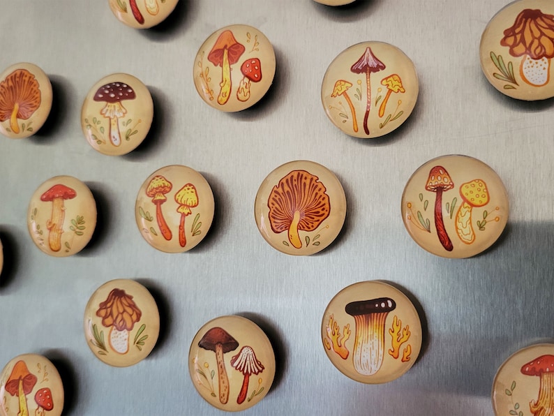 Earthy Mushrooms 1 Handmade Magnets Cute & Cozy Autumnal Round Fungi Magnets image 1