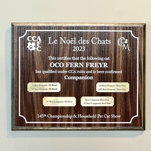 Custom Personalized Wood & Acrylic Wall Plaque - Laser Engraved Plaque on Pine Wood - Many Color Options - with Metallic Badges - 8x10