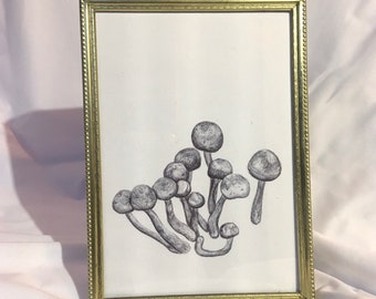 Mushrooms — original drawing inspired by nature