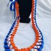 3-D Gorgeous Graduation Ribbon Lei | Thick, High-Quality Ribbon 