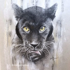 Black Panther Leopard - Original Drawing