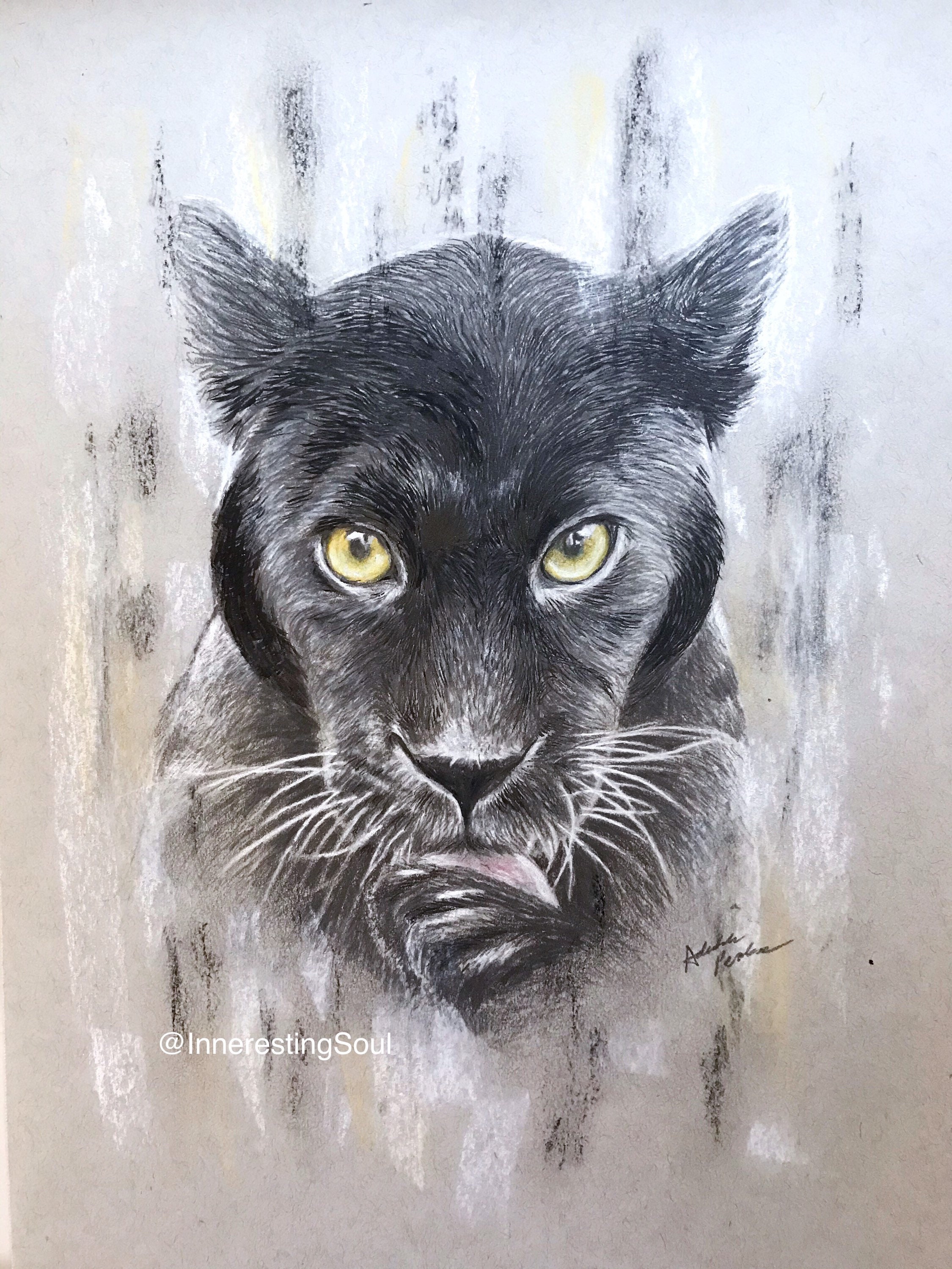Black Panther Leopard Original Drawing | Etsy