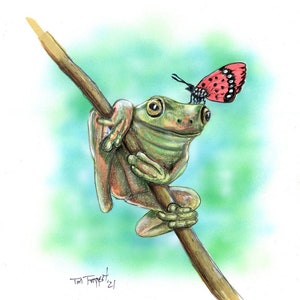 Frosch- und Schmetterlingsdruck