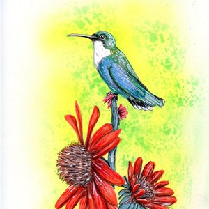 Ruby Throated Hummingbird with red flower