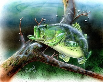 Large Mouth Bass Fishing - Etsy