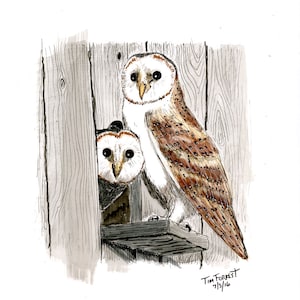 Barn Owl couple print