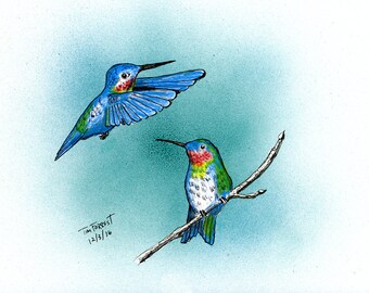 Ruby Throated hummingbirds print