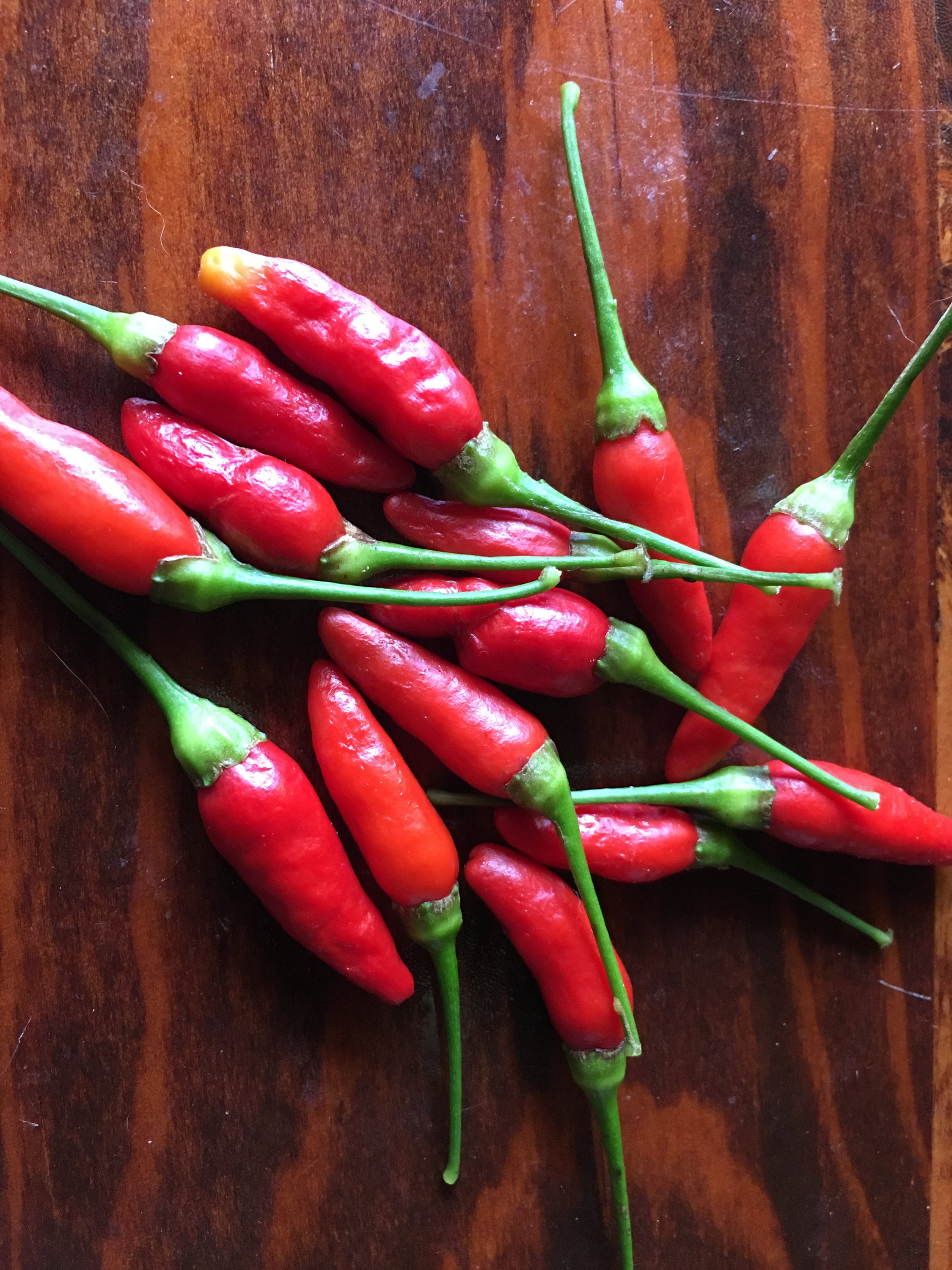Organic Hawaiian Red Chili Pepper Seeds/ Heirloom Peppers Seeds/ Hot …