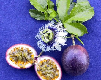 Organic Purple Lilikoi Seeds/ Passion Fruit Seeds/ Exotic Fruit /Hawaii Fruit
