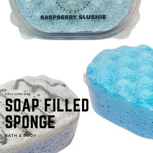 Soap Filled Sponges | Soap Sponge | Exfoliator | Shower | Bath and Body | Highly Scented