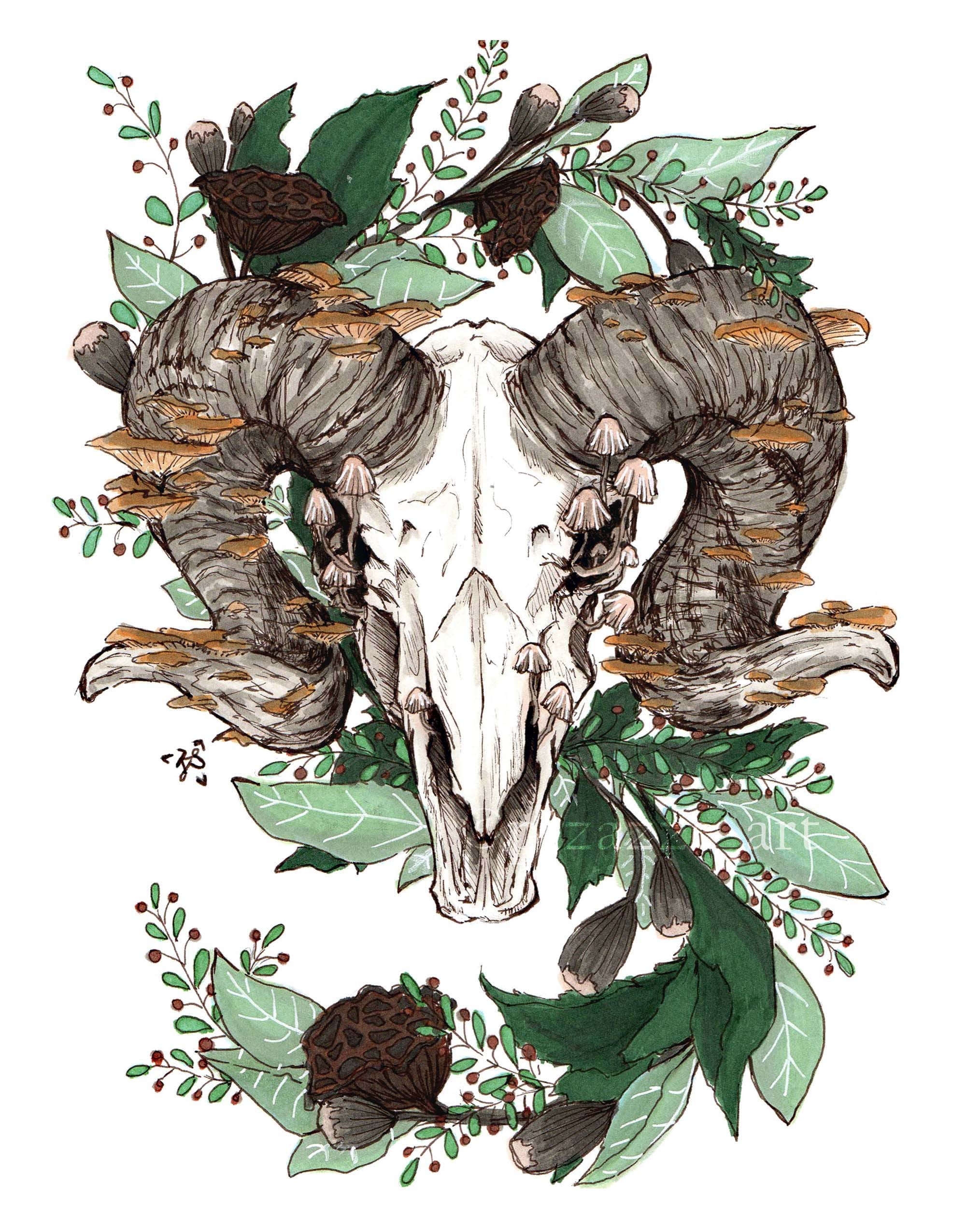 Ram Skull Art Print Etsy
