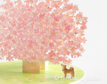 Greeting card -Shiba dog looking up at cherry blossoms-