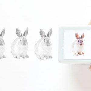 Tampon lapin nommé « Itoh », tampon pré-encré, tampon réaliste, tampon photo