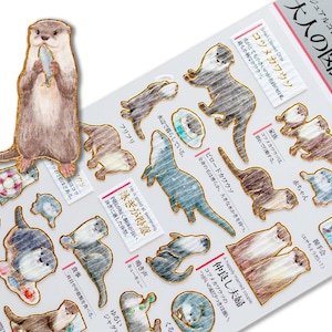 Sticker doré pour dictionnaire visuel pour adultes -Loutre-