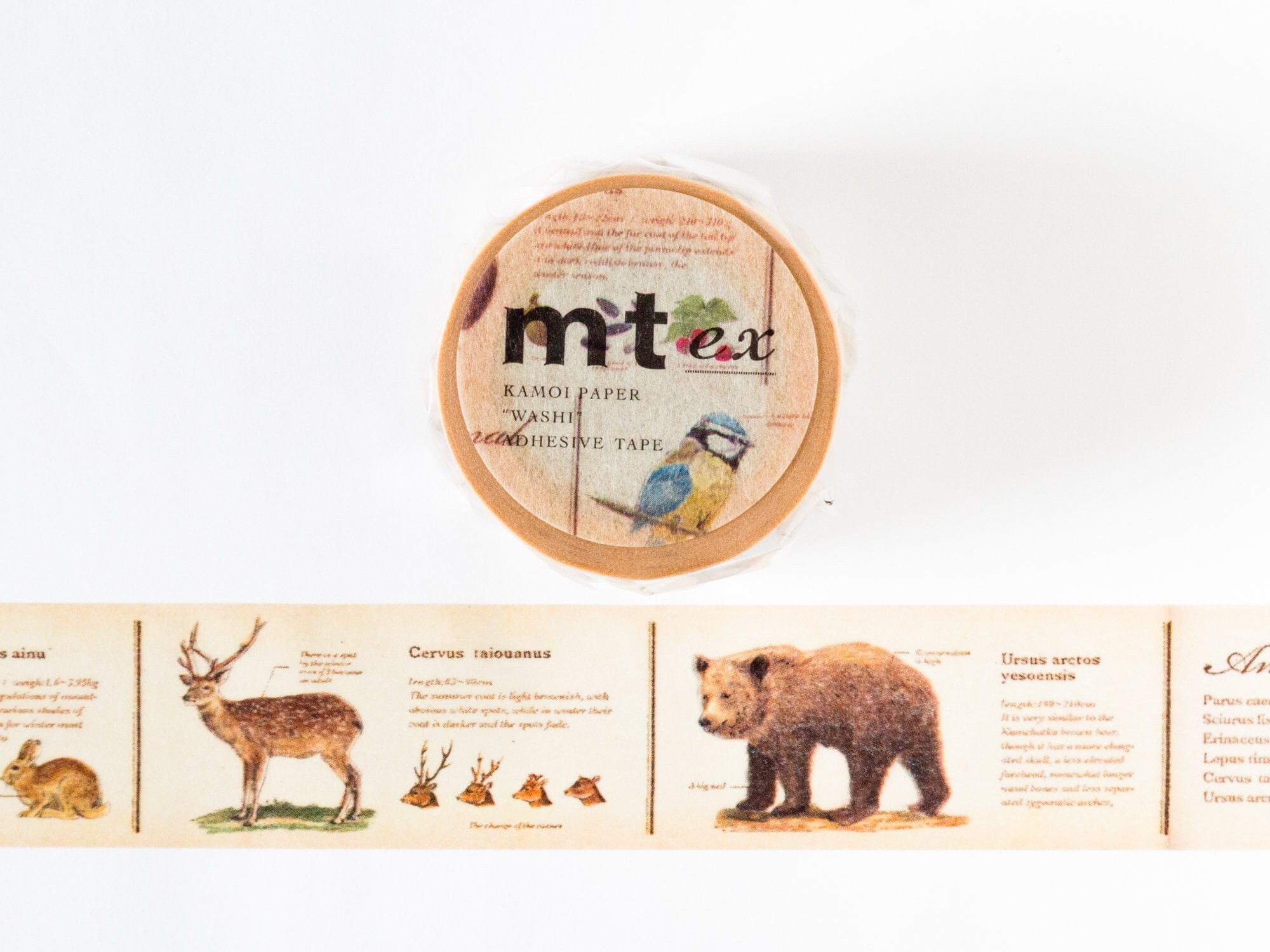MT Masking Tape - Picture Book Animal Design Washi Tape For Crafts & Decoration