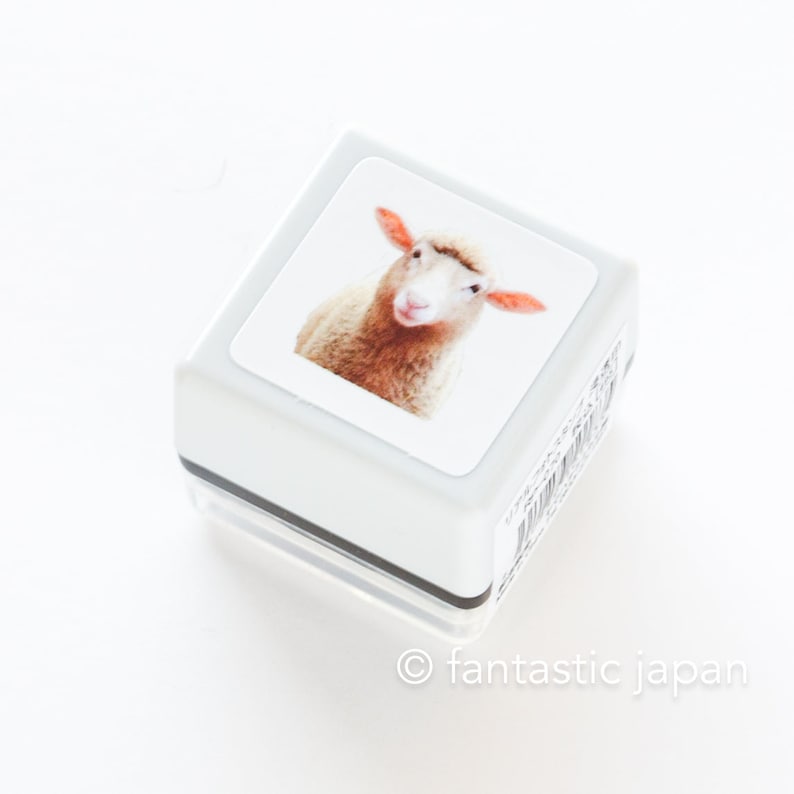 Real photo stamp -Sheep- image 2