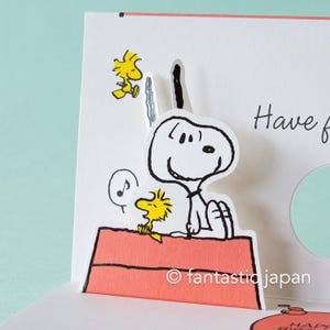 Tarjeta de cumpleaños desplegable Hallmark / PEANUTS -Diviértete-