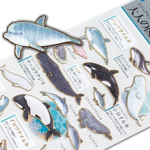 Goldfolie Erwachsenen-Wörterbuch Aufkleber -Delfin und Wale-