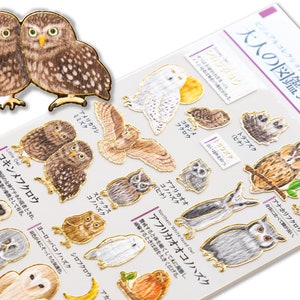 Gold foil adult visual dictionary sticker -Owl-