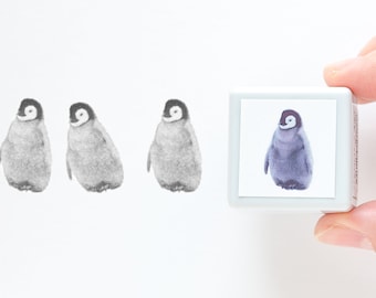 Real photo stamp -Penguin -