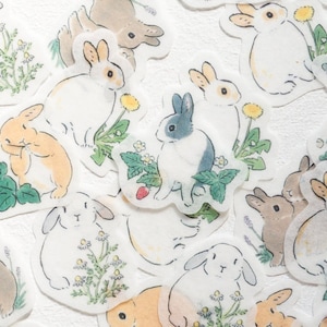 Adesivos de flocos recortados - coelho e flores silvestres -