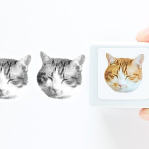 Real photo stamp - Tabby cat &quot;Sleepy&quot;-