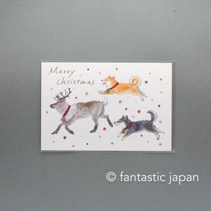 Murata Natsuka vykort - Shiba Inu i julstrumpa-