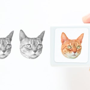 Fotostempel / Munchkin Cat "Hiroshi"