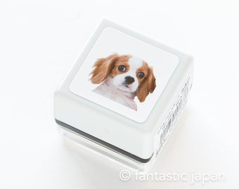 Cavalier Rubber Stamp, pre-inked stamp, Dog realistic stamp, photograph stamp