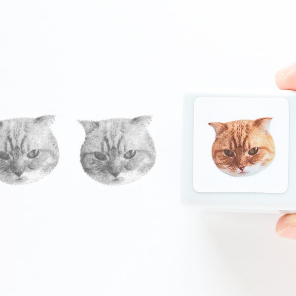 Photograph stamp / Scottish Fold Cat  "Kyoko"