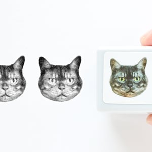 Photograph stamp / Cat  &quot;BOO&quot;