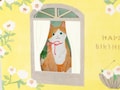 Pop-up Greeting card &quot;Happy birthday -cat by the window- &quot;