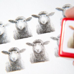 Real photo stamp -Sheep- image 5