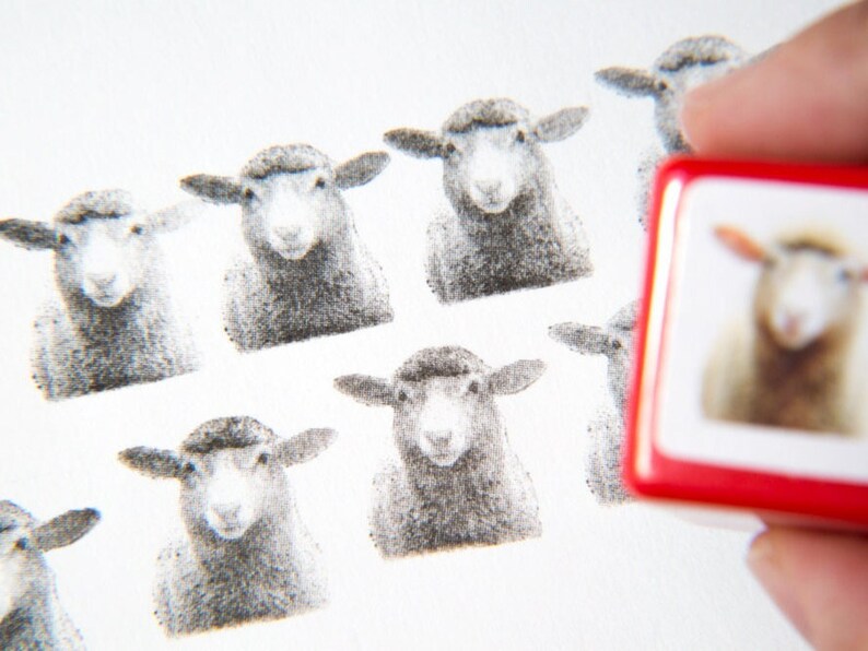 Real photo stamp -Sheep- image 5