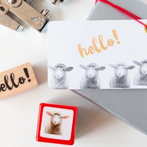 Real photo stamp -Sheep- image 4